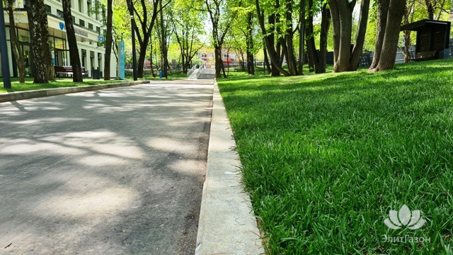 Уложенный рулонный газон, устройство тротуара, бордюра. Фото 11.