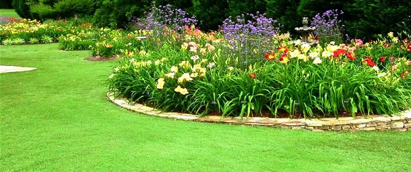 Натуральные газоны в дизайне цветников на дачном участке